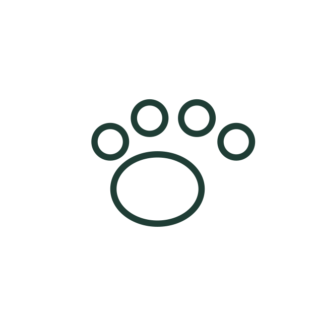 El césped astral es apto para mascotas